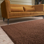 Myshaggy Solid Brown Rug - Joe’s Haven