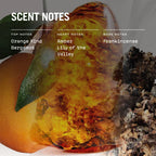 Mystice Reed Diffuser