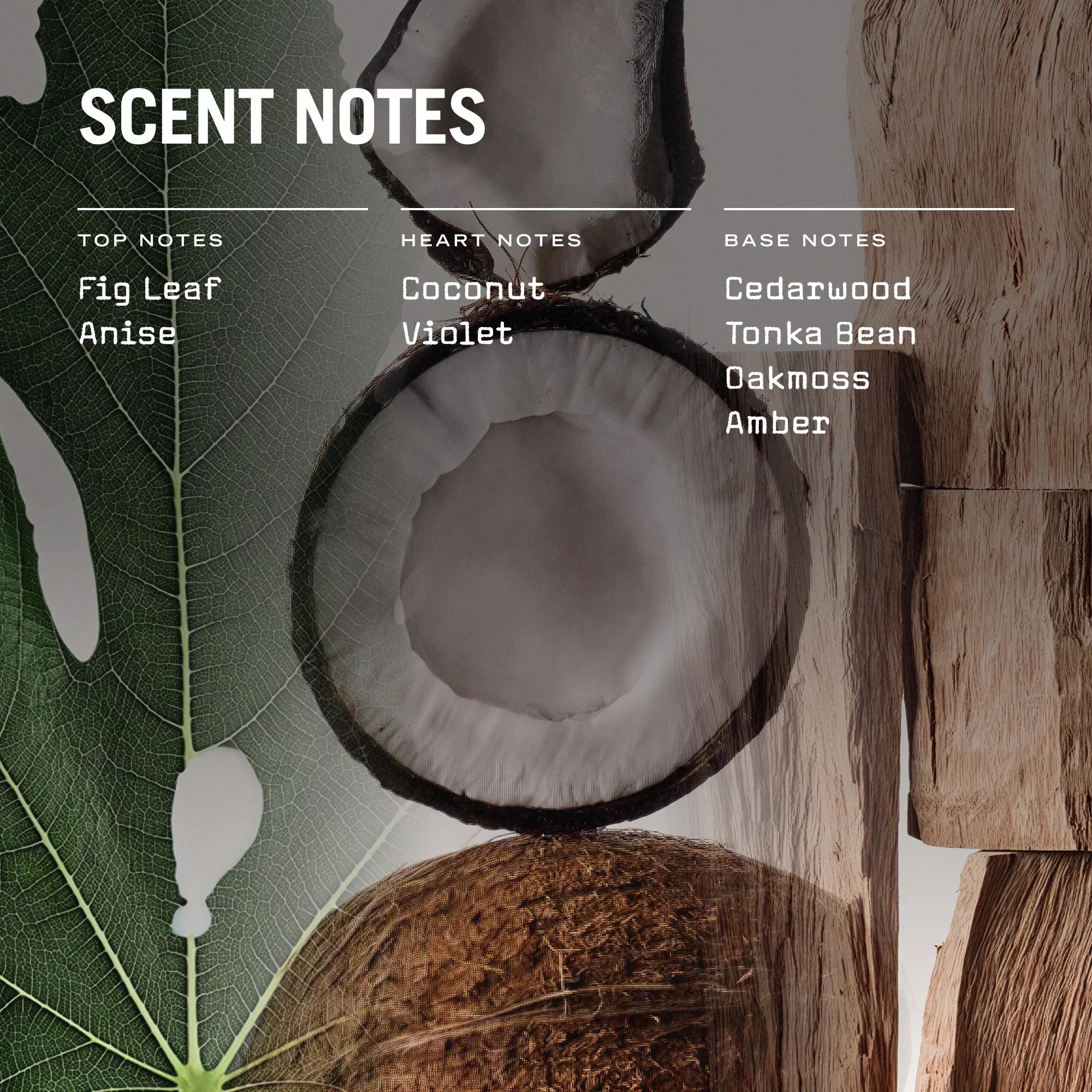 Opulence Reed Diffuser