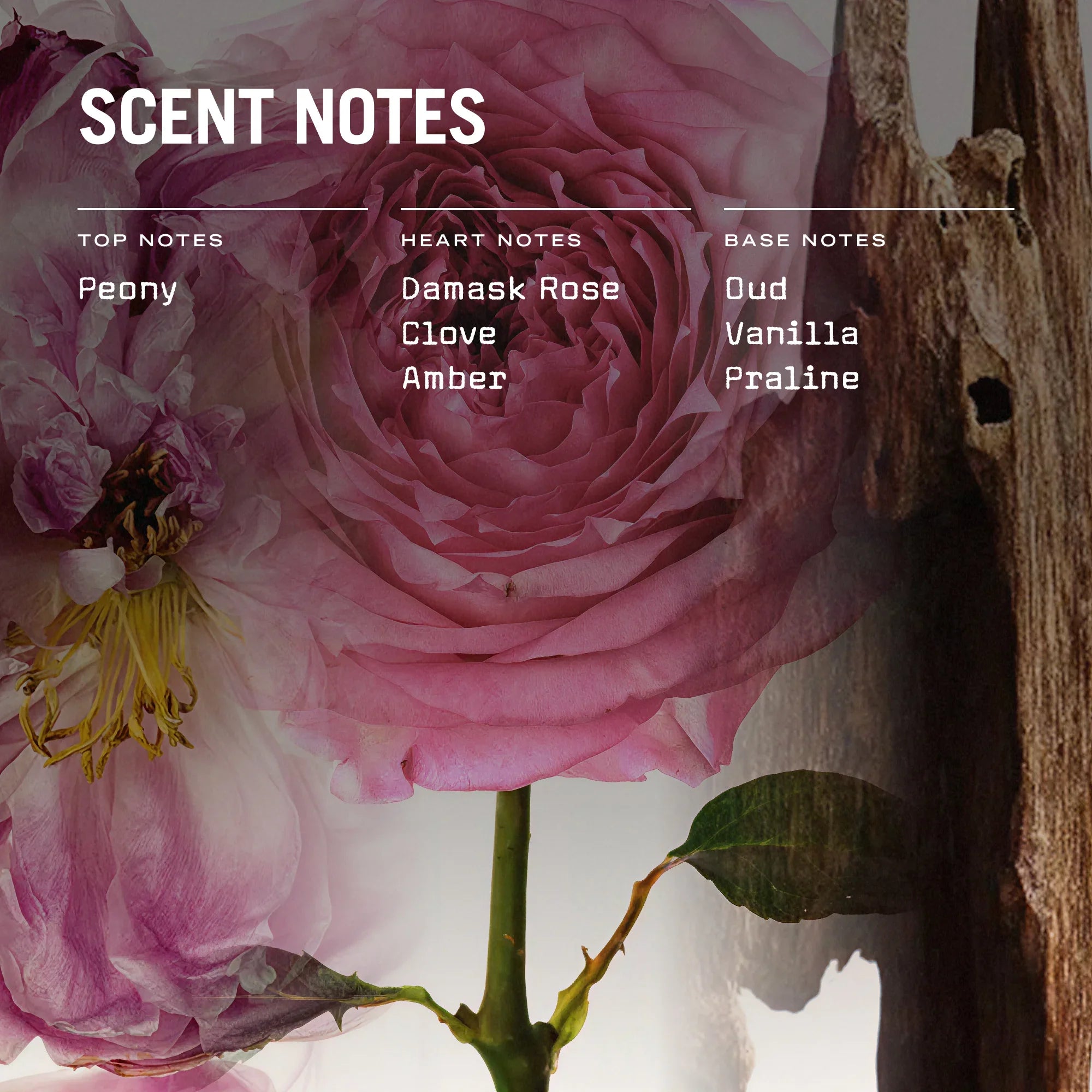 Oud Fortune Scented Candle Refill