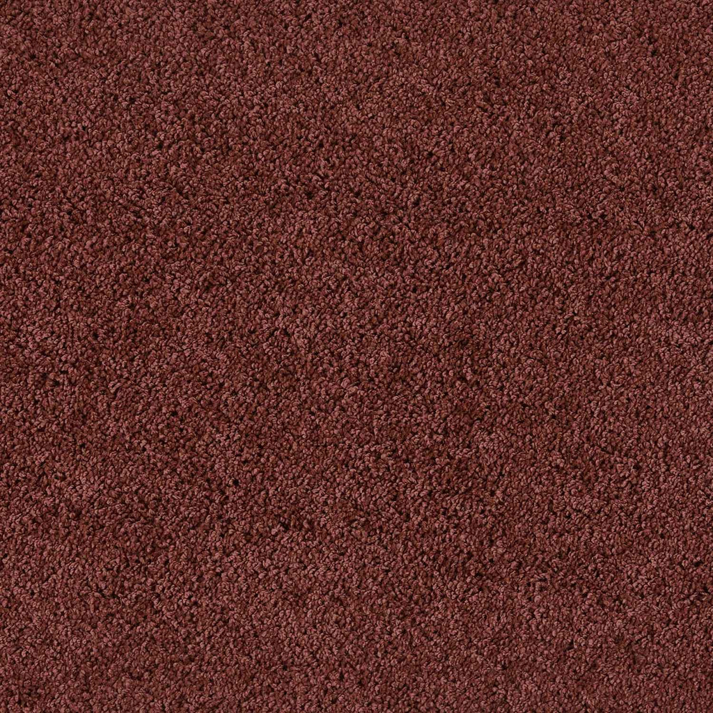 Washable Ox Red Shaggy Rug - Joe’s Haven