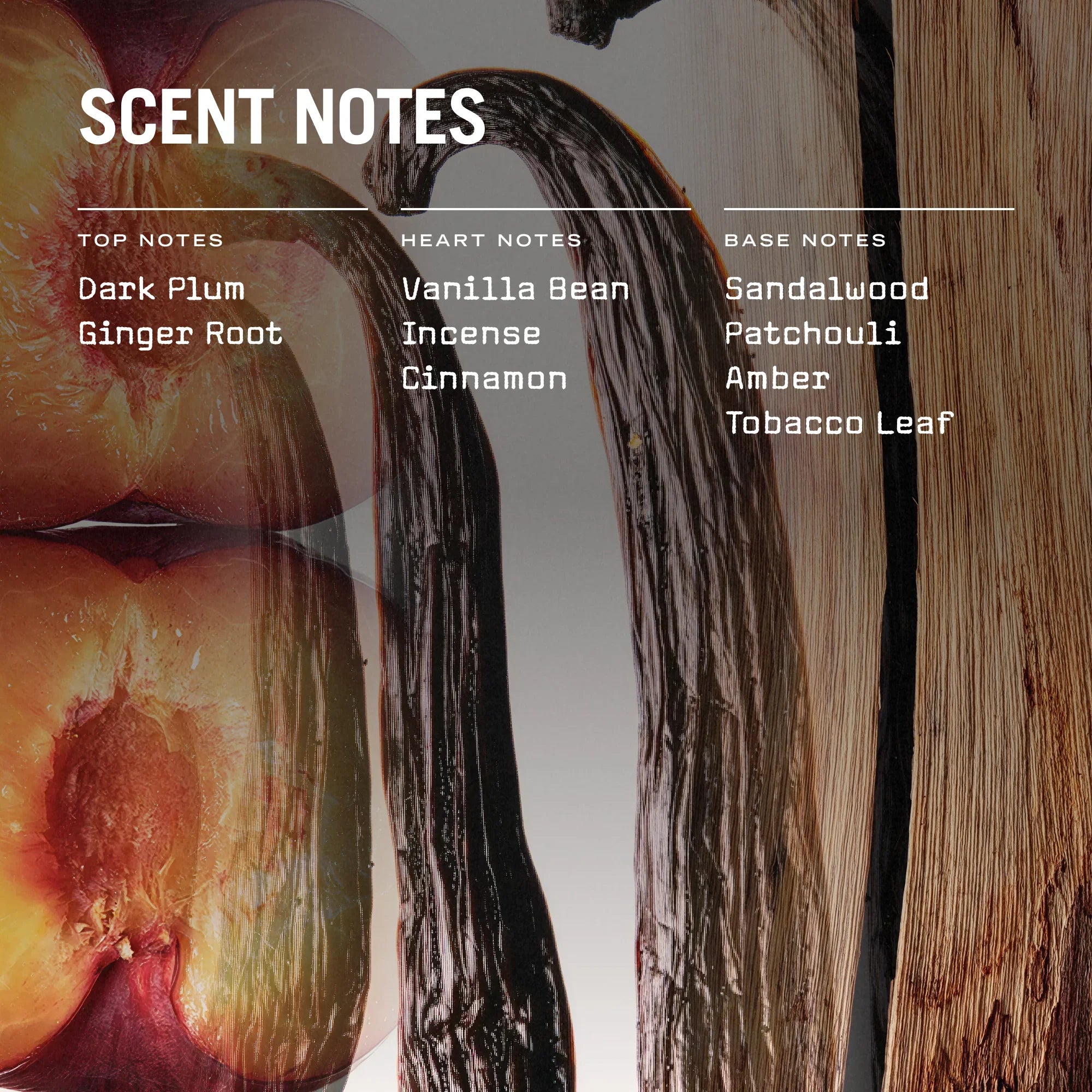 San Marco Scented Candle Refill