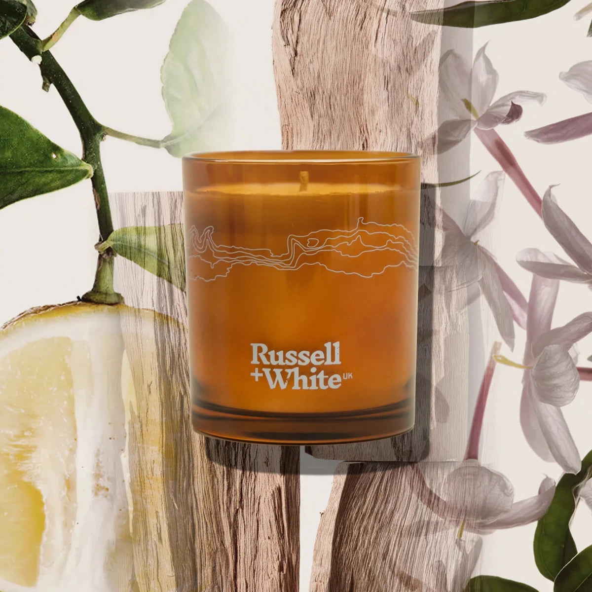 Sugi Scented Candle Refill - Joe’s Haven