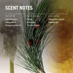 Sequoia Reed Diffuser