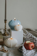 Set of Shell Scented Candles: Small and Large - Joe’s Haven
