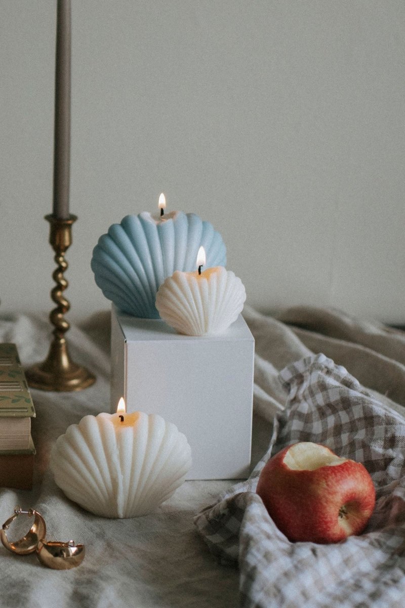 Set of Shell Scented Candles: Small and Large - Joe’s Haven