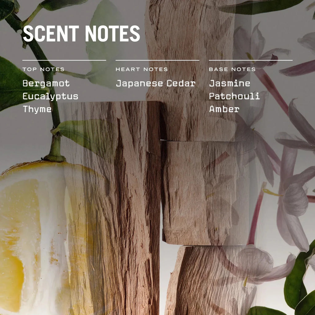 Sugi Scented Candle Refill - Joe’s Haven