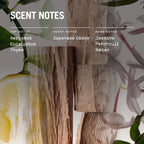 Sugi Scented Candle Refill - Joe’s Haven