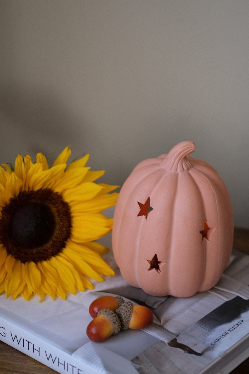 Terracotta Pumpkin Tealight Holder - Joe’s Haven
