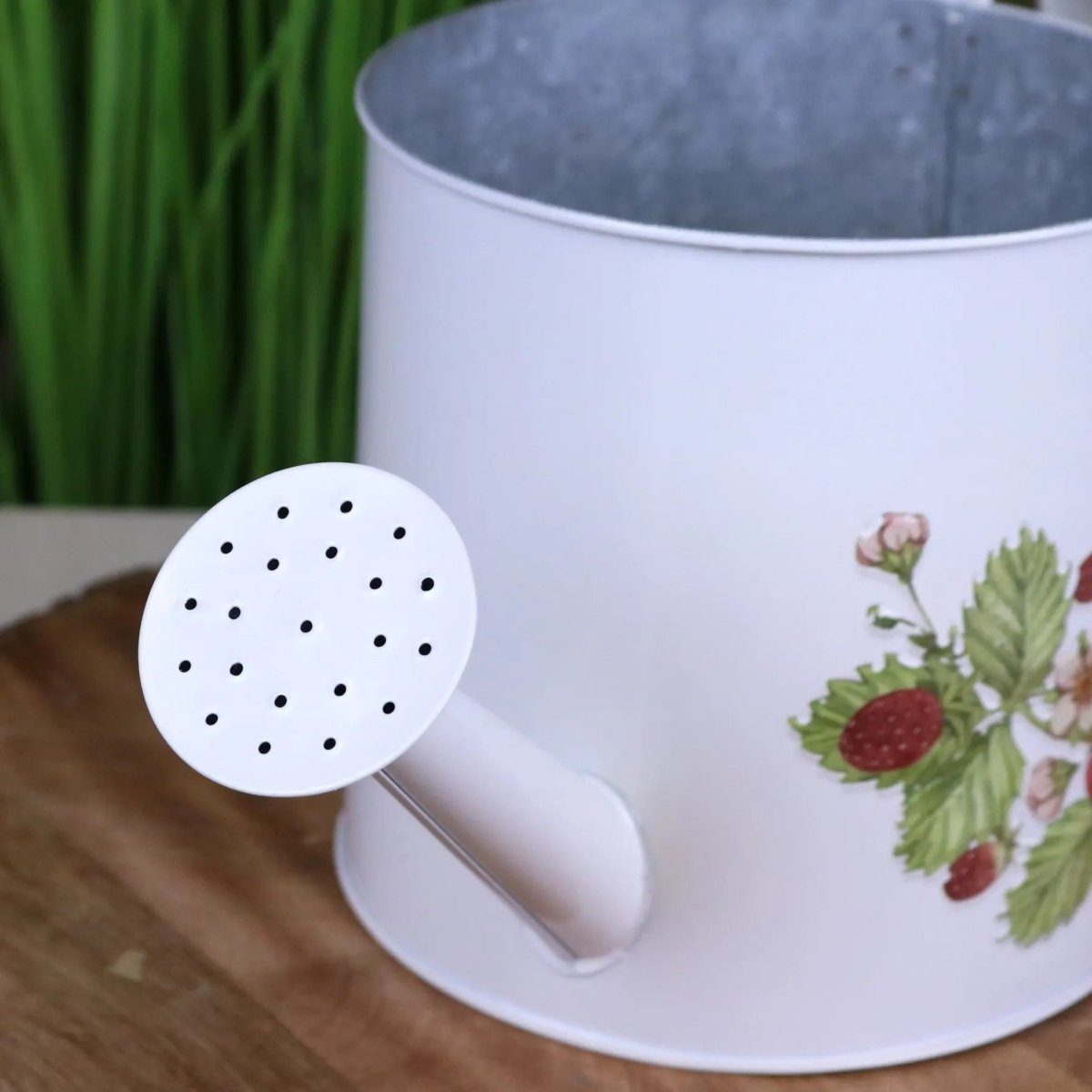 Thaniya Strawberry Field Watering Can Planter - Joe’s Haven
