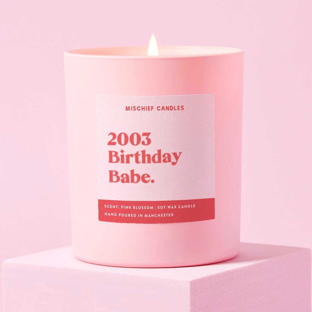 21st Birthday Gift Funny Birthday Candle 2003 Birthday Babe - Joe’s Haven