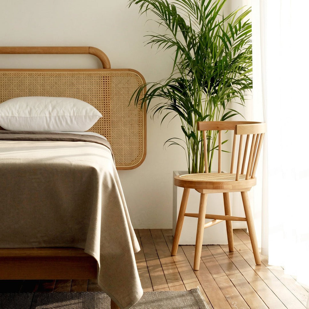 Cane G9 Rattan Dining Chair - Joe’s Haven