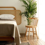 Cane G9 Rattan Dining Chair - Joe’s Haven