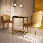 R3 Shell Dining Chair, Velvet - Joe’s Haven