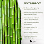Eco Bath London Bamboo Toothbrush in Bamboo Tube Travel Case - Joe’s Haven