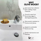 Eco Bath London Olive Wood Leaf Soap Dish - Joe’s Haven