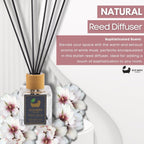 Eco Bath London White Musk Reed Diffuser - Fresh and Sweet Fruits Scented Room Diffuser with Lemon, Mandarin, Green Pear, and Bergamot, 100ml (3.38 Fl.Oz) - Joe’s Haven