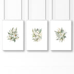 Floral Poster | Set of 3 wall art prints - Joe’s Haven