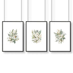 Floral Poster | Set of 3 wall art prints - Joe’s Haven