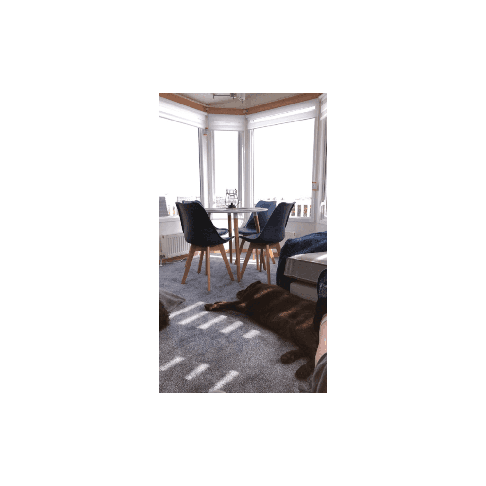 Jamie Halo Round Dining Table Set with 4 Chairs - Joe’s Haven