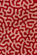 Joli Doodle Red & Pink Rug - Joe’s Haven