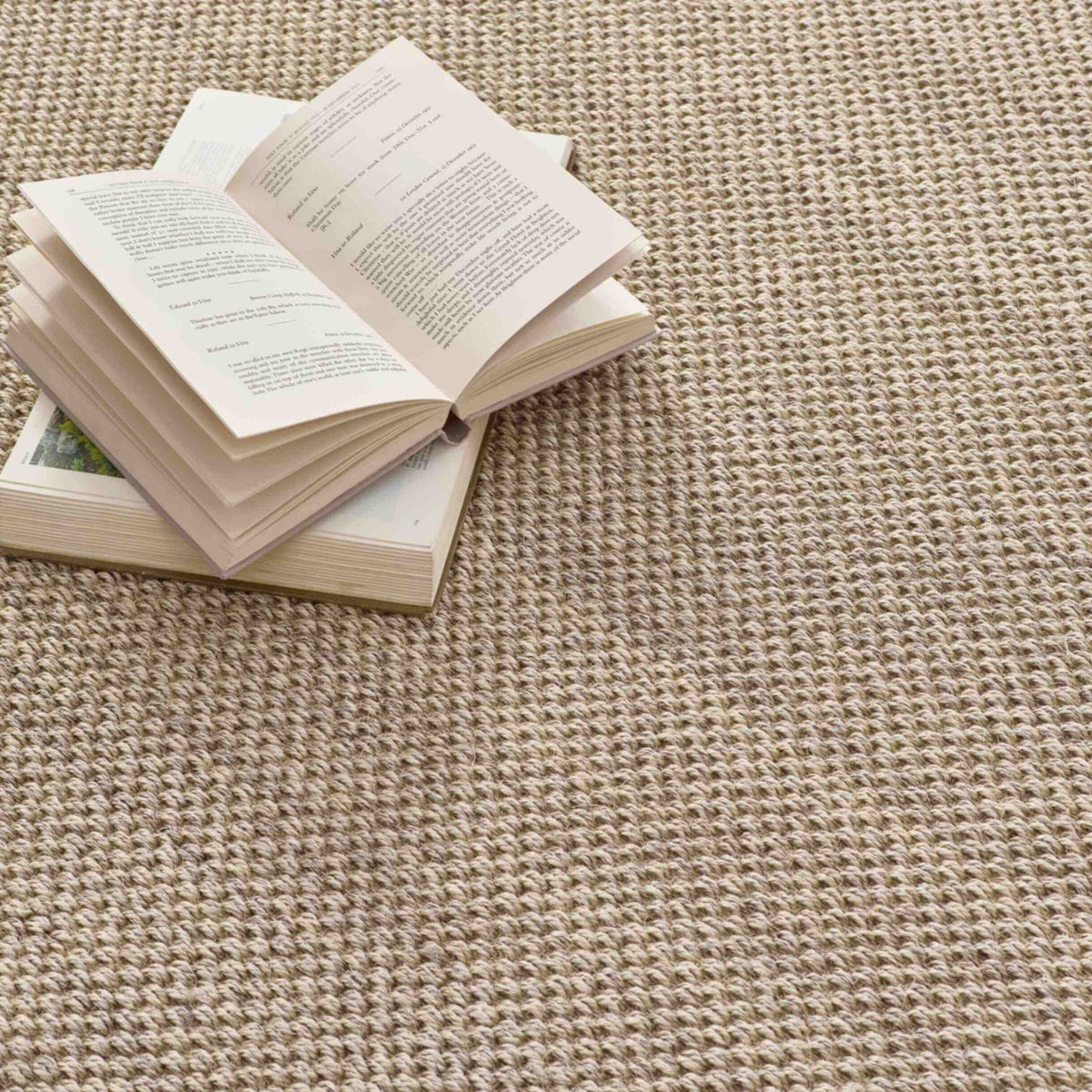 Bordered Light Beige Non-Slip Sisal Rug - Joe’s Haven