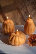 Large Pumpkin Shaped Candles - Joe’s Haven