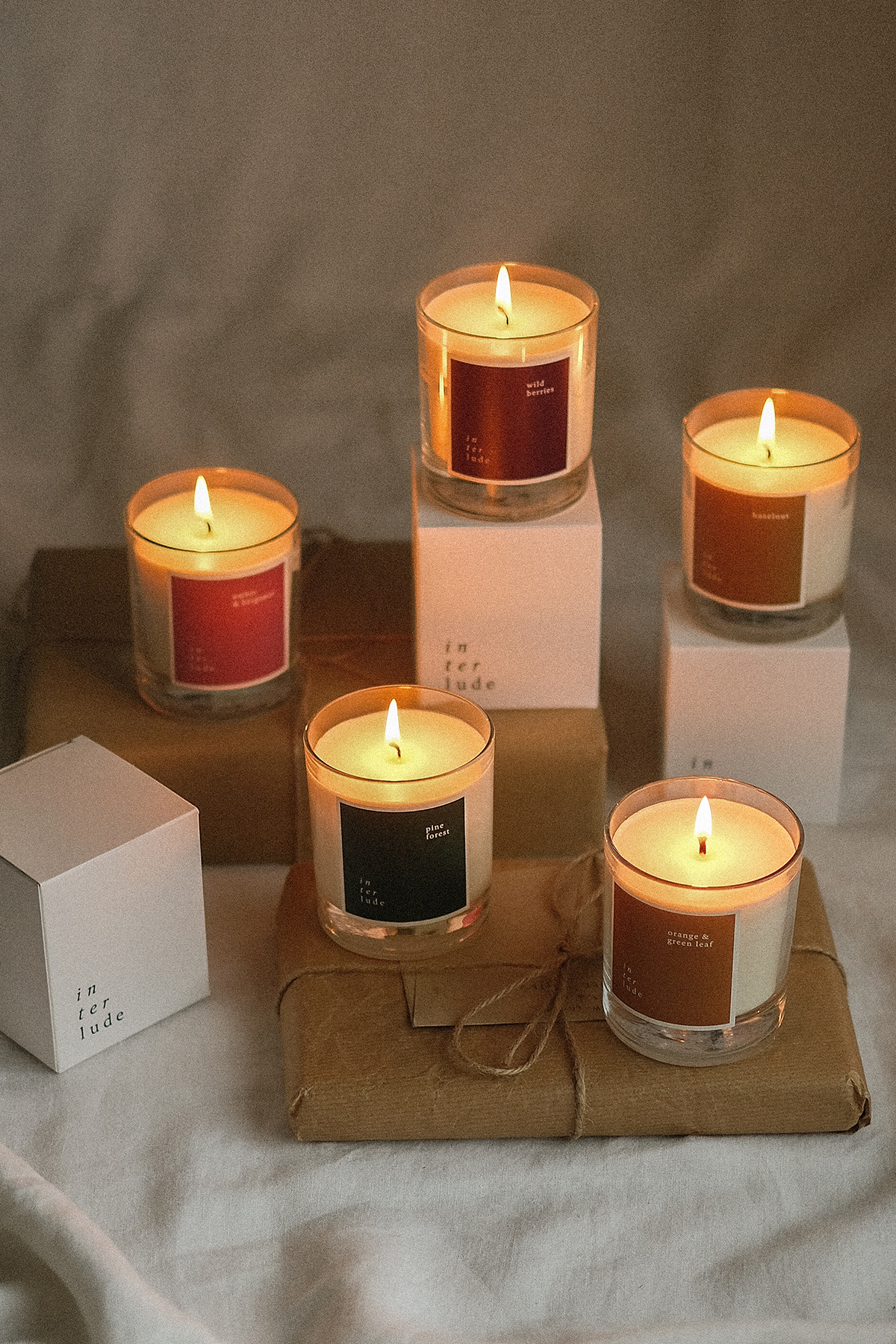 Pine Forest Scented Candle - Joe’s Haven