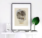 Wall art neutral | set of 3 framed wall art prints - Joe’s Haven