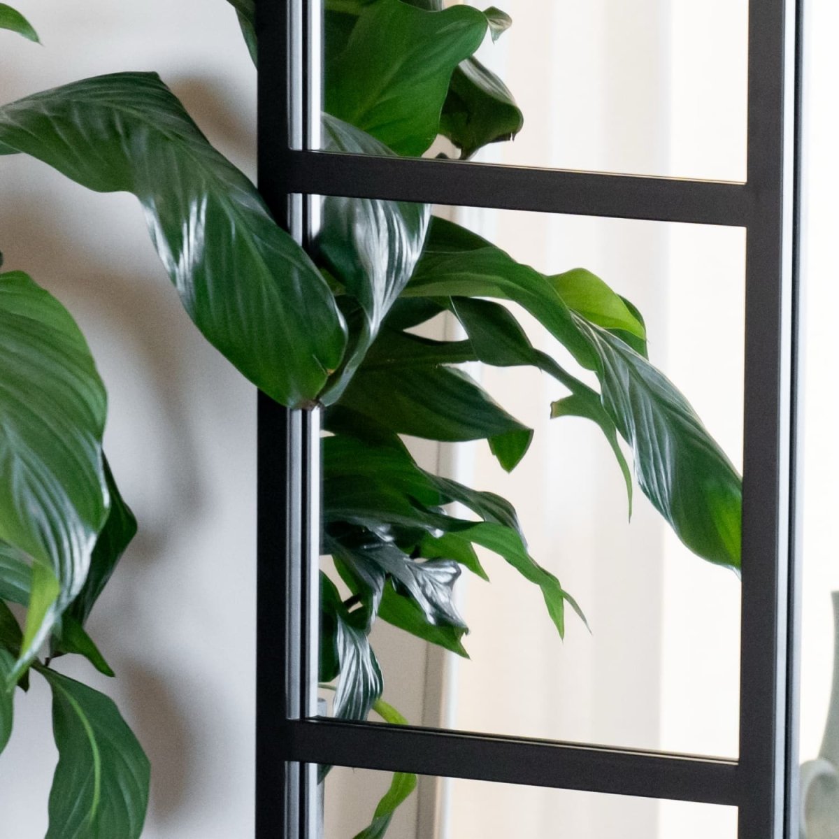 Mio - Full Length Black Metal Arched Window Mirror - 180cm x 105cm. - Joe’s Haven