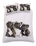 OLIVIA ROCCO Frenchie Cotton Rich Duvet Set With Vibrant Colours And Patterns For Bedroom - Joe’s Haven
