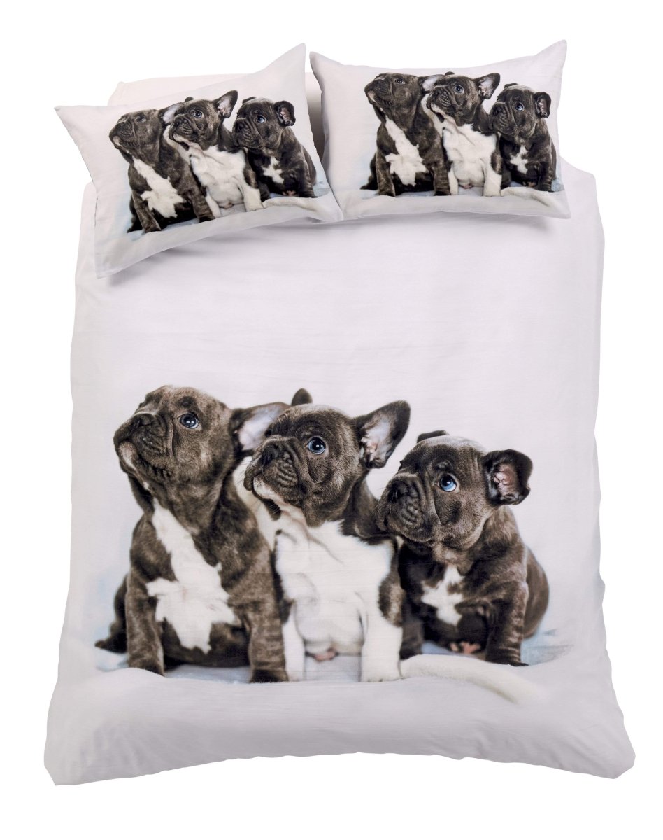 OLIVIA ROCCO Frenchie Cotton Rich Duvet Set With Vibrant Colours And Patterns For Bedroom - Joe’s Haven
