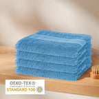 OLIVIA ROCCO Rhodes Towel Aqua 100% Cotton Hotel Quality Soft Super Absorbent Hand Towels - Joe’s Haven