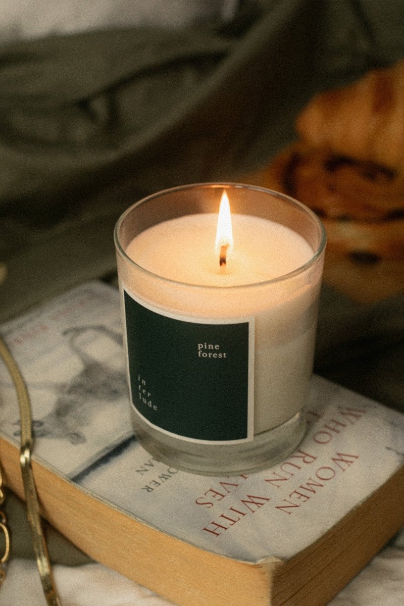 Pine Forest Scented Candle - Joe’s Haven