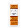 Pumpkin Spice Wax Melt Snapbar