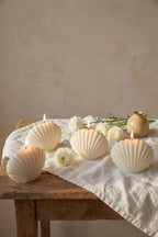 Shell Candle - Joe’s Haven